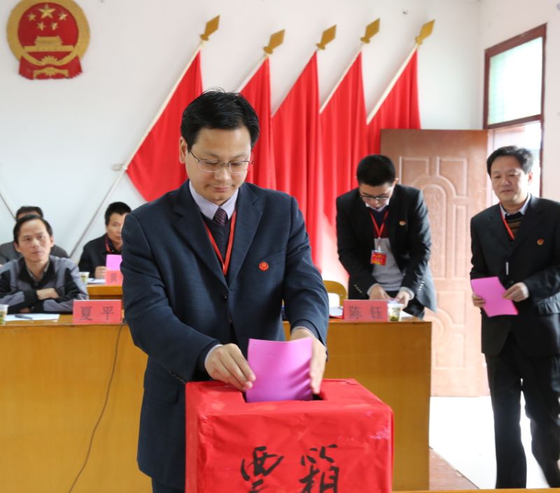 白莲镇投票.JPG